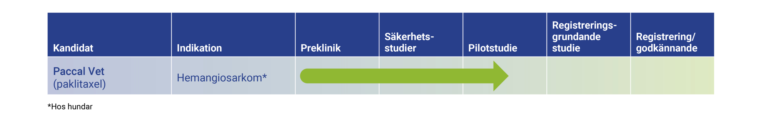 Pipelines 2024 SE